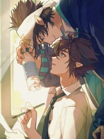 本站永久域名